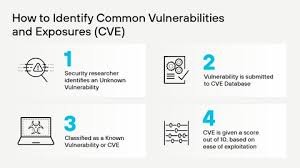 What is Common Vulnerabilities and Exposures (CVE)?