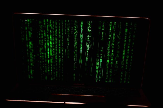 Why Cyber Insurance is Essential for Today's Businesses